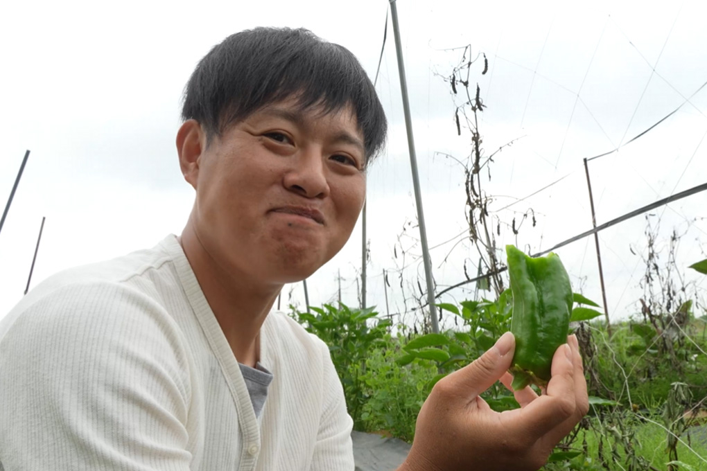 産地直送！旬のお野菜詰め合わせおてがるセット