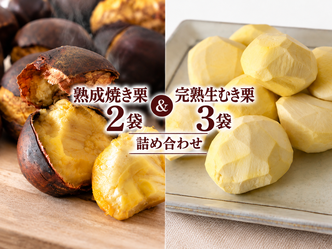 熟成焼き栗2袋＆完熟生むき栗3袋　詰め合わせ