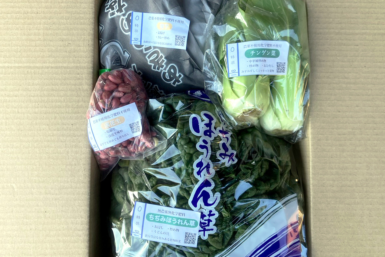 産地直送！旬のお野菜詰め合わせおてがるセット
