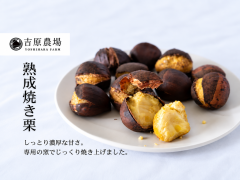 熟成焼き栗2袋＆完熟生むき栗3袋　詰め合わせ