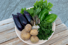 産地直送！旬のお野菜詰め合わせおてがるセット
