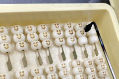 みたらし３兄弟 10本セット